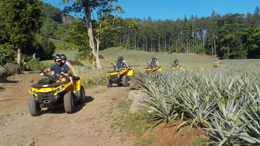 Mo'orea: Guided ATV Nature Tour - Pineapple fields, plantations, and possible tastings