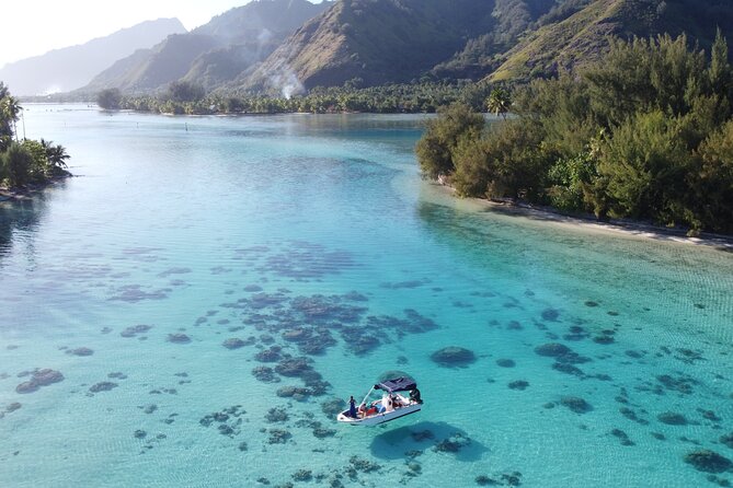 Mo'orea Half Day Private Tour with Snorkeling and Cruising the Lagoon - Alex’s role makes the difference