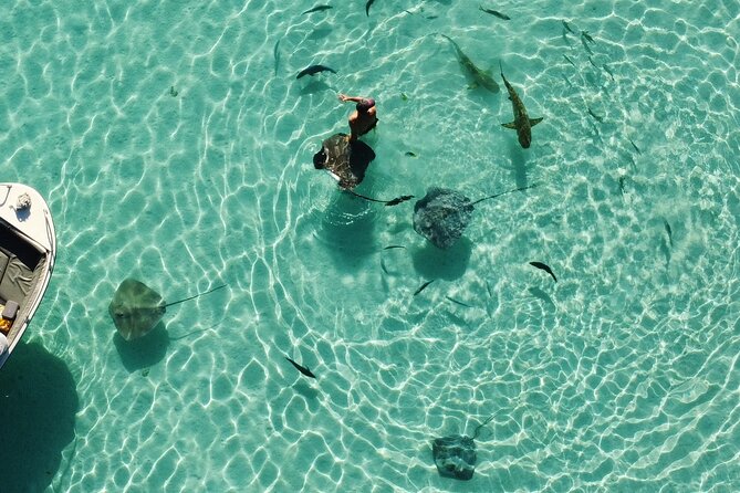 Mo'orea Half Day Private Tour with Snorkeling and Cruising the Lagoon - Why the west coast matters