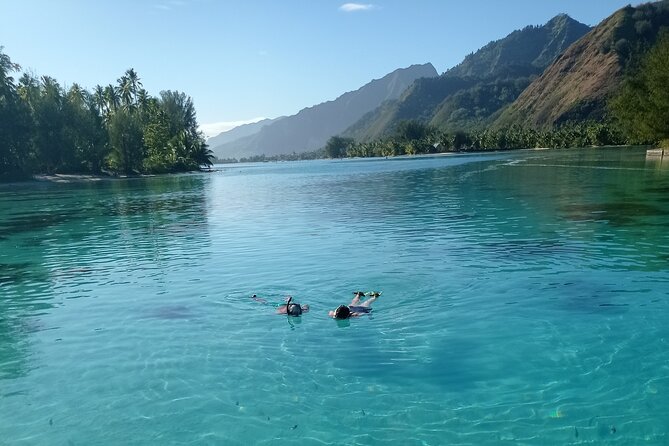 Mo'orea Half Day Private Tour with Snorkeling and Cruising the Lagoon - Who should book this Moorea tour?