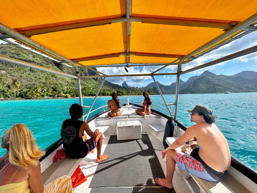 Moorea 4H Shared Boat Tour Whale Swimming and Snorkeling - Whale swimming from August through November