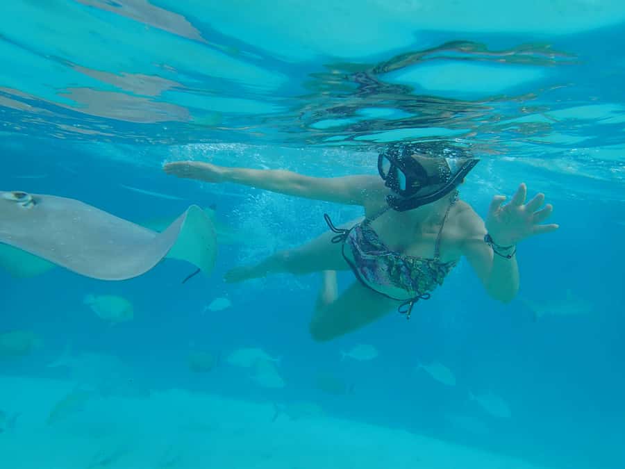 Moorea 4H Shared Boat Tour Whale Swimming and Snorkeling - Why the six-person limit matters