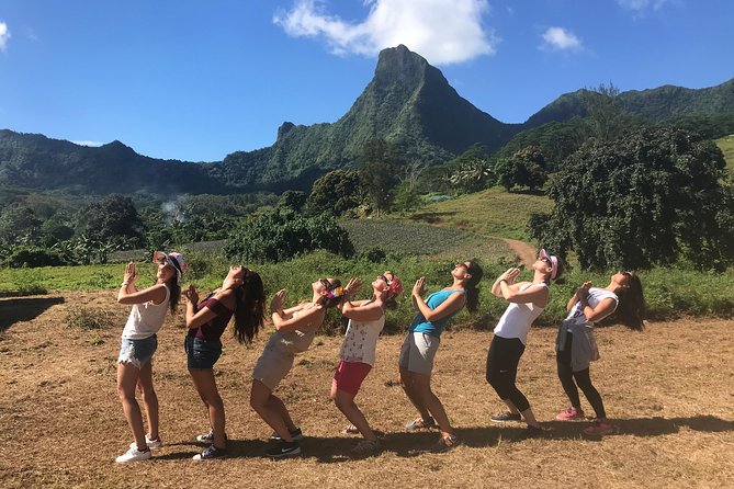 Moorea 4WD Tour Inc. Belvedere, Pineapple Farm, Magic Mountain... - Distillery drinks and the final taste of Moorea
