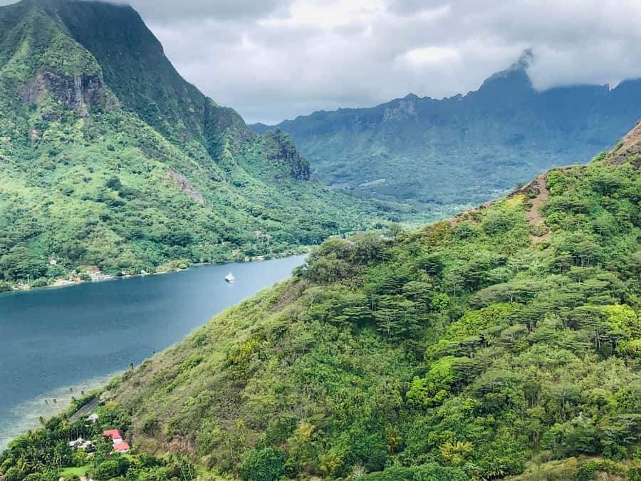 Moorea:4X4 safari excursion between land and sea with lunch - Fruit juice, liquor, and a change of plan