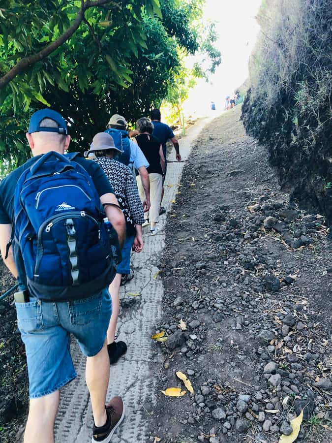 Moorea:4X4 safari excursion between land and sea with lunch - Is the 212 dollar price fair?