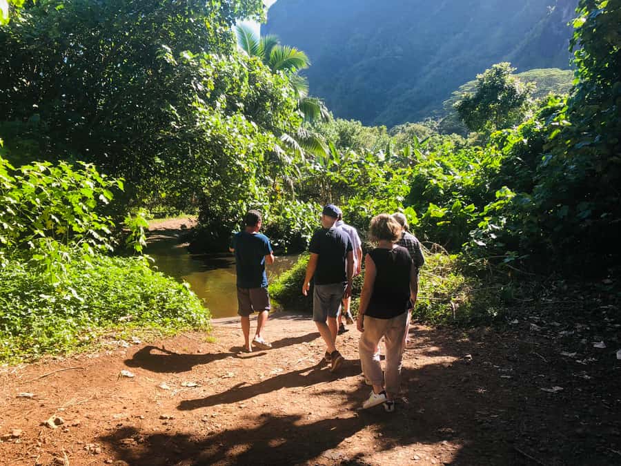 Moorea:4X4 safari excursion between land and sea with lunch - Who should book this experience?