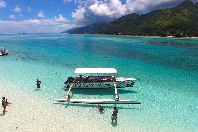 Moorea 6-Hour Snorkeling and Lunch Shared Tour - Why the shark and ray stop is the main event