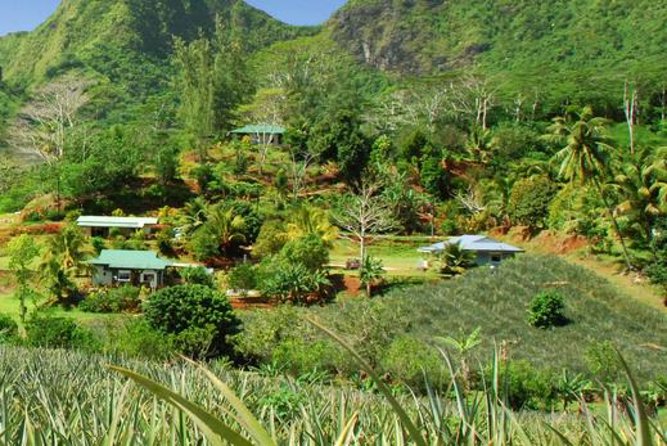 Moorea Aito 4WD Safari Tour - Half day - Belvedere Lookout and the two famous bays