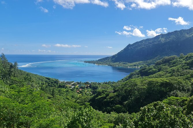 Moorea Aito 4WD Safari Tour - Half day - Who will enjoy this morning most?
