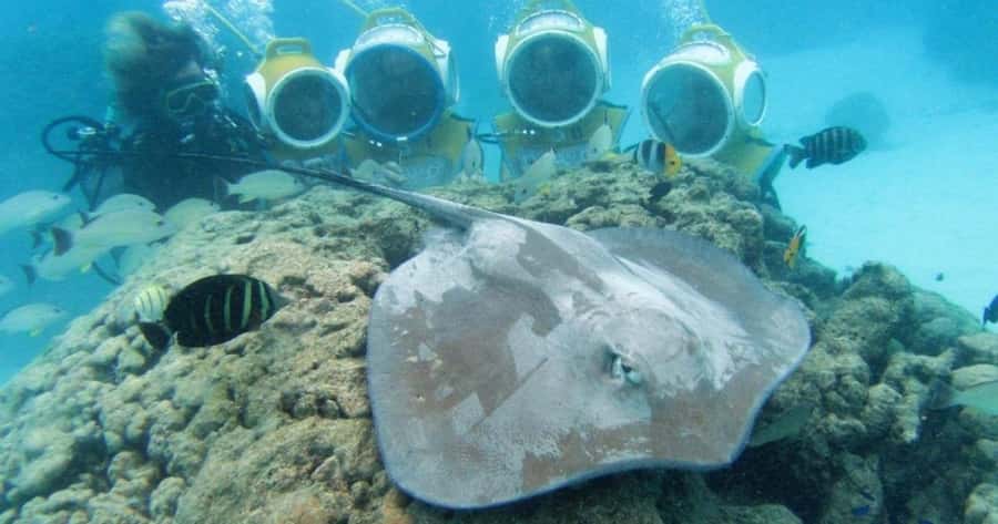 Moorea: Aquablue Helmet Underwater Walking Experience - The 10-minute boat ride to Moorea’s lagoon