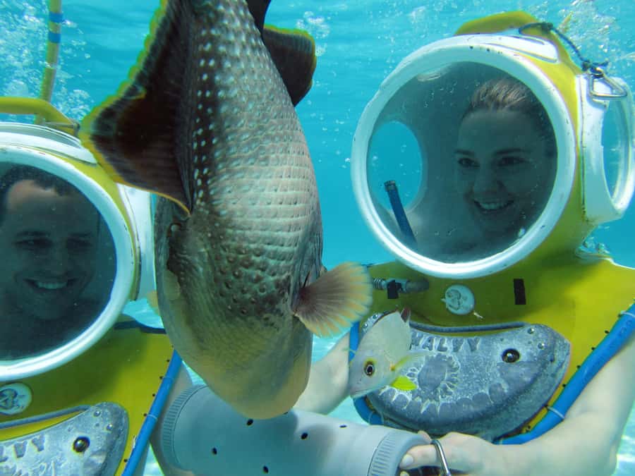 Moorea: Aquablue Helmet Underwater Walking Experience - Is the $103 price good value?