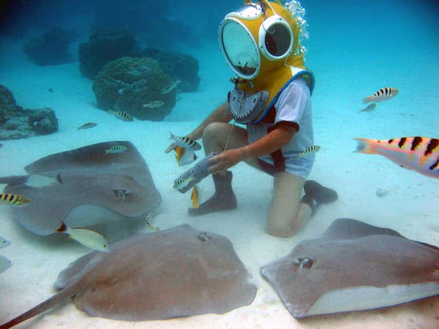 Moorea: Aquablue Helmet Underwater Walking Experience - Who will enjoy this most
