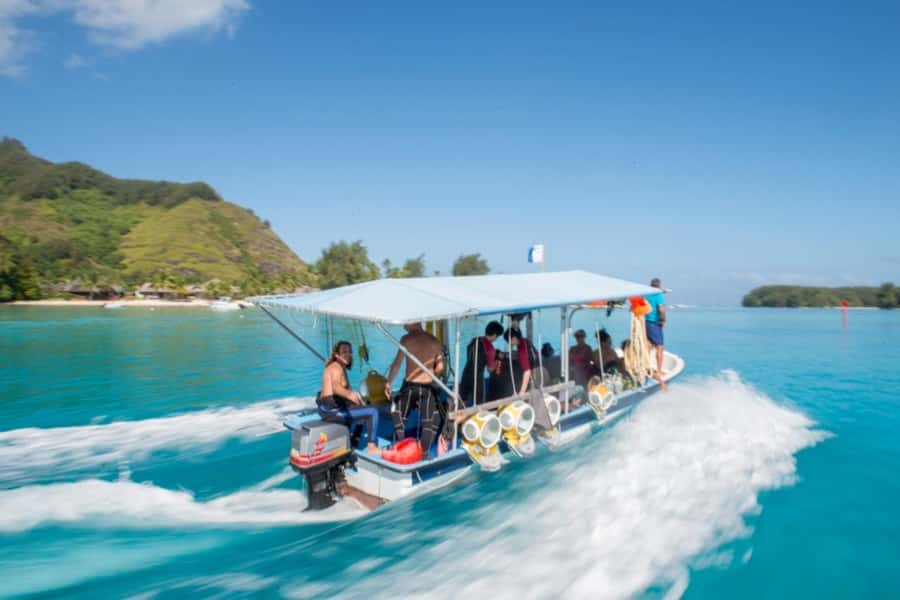 Moorea: Aquablue Helmet Underwater Walking Experience - Meeting the Aquablue team at the InterContinental