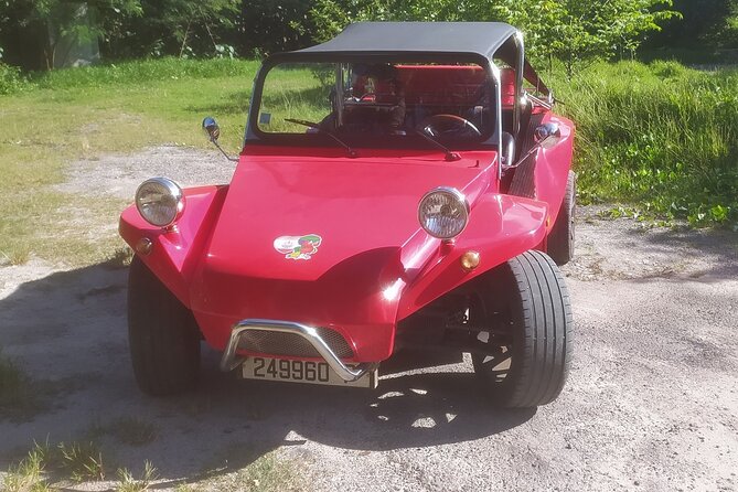 Moorea Buggy Rental - Key points before you book