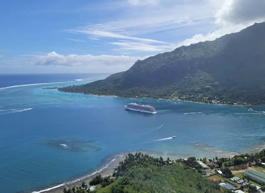 Moorea Cruise Ships 4x4, Belvedere Magic mount PRIVATE Tours - Tropical fruit, coconut, jam, juice, and liquor