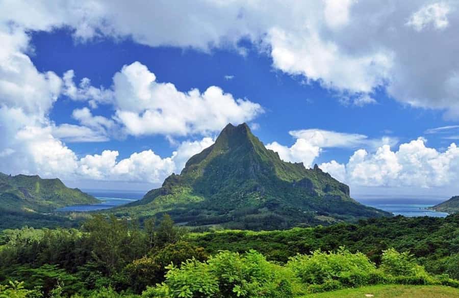 Moorea Cruise Ships: 4x4, Belvedere,Magic Mountain pineaple - Juice, liquor, jam, and shopping stops
