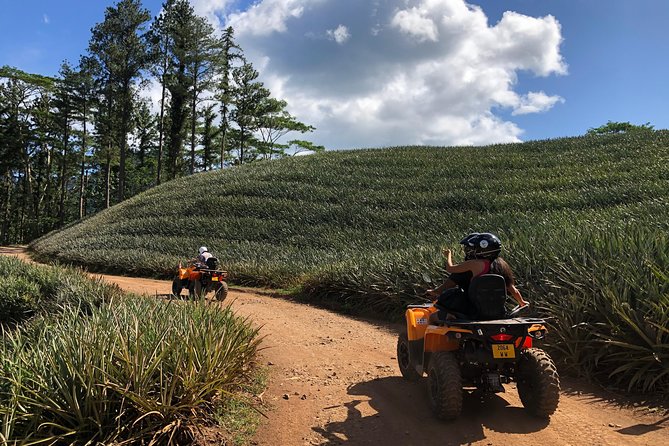 Moorea Explorer Atv Quad Tour - The guides turn a ride into a local introduction