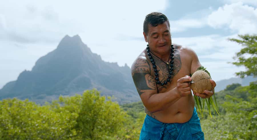 Moorea: Half-Day Open-Air 4WD Safari with Hotel Transfers - Belvedere Lookout and the island’s best panorama