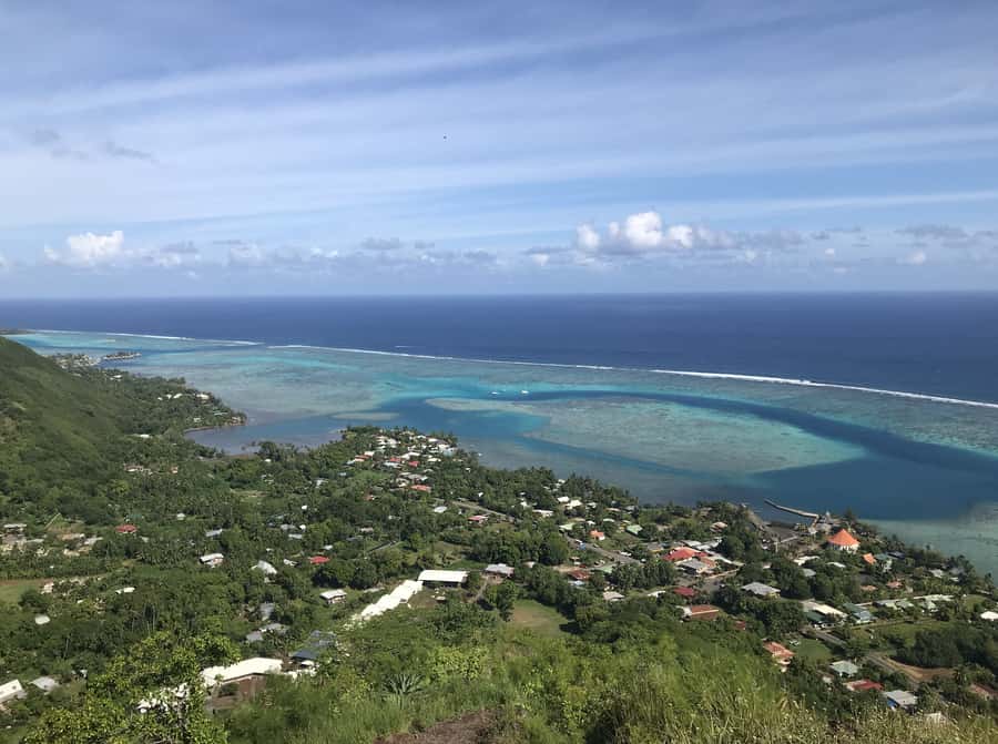 Moorea: Half-Day Open-Air 4WD Safari with Hotel Transfers - Freshwater eels and the secret off-road stop