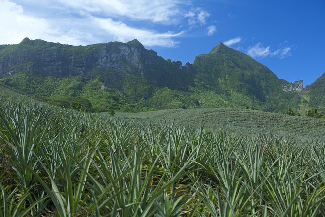 Moorea Highlights Private Tour: Natural and Cultural Attraction - Why this private tour works well on Moorea