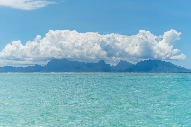 Moorea Highlights Private Tour: Natural and Cultural Attraction - Pineapple country on Route des Ananas