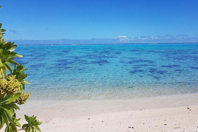 Moorea Highlights Private Tour: Natural and Cultural Attraction - Belvedere Lookout sits between two famous bays