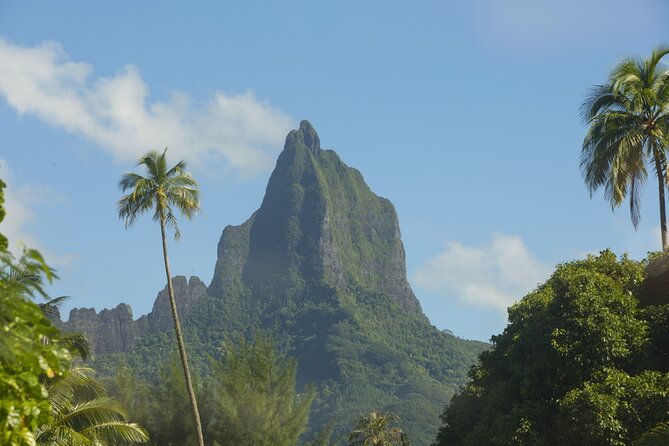 Moorea Highlights Private Tour: Natural and Cultural Attraction - Local flavor at Manutea Tahiti and Rotui