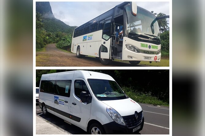 Moorea Island Tour - Moorea in three hours