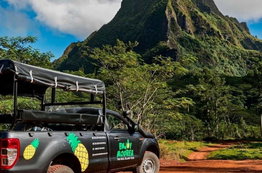 Moorea: Island Tour with Waterfall Hike and Lunch - Pineapple fields show Moorea beyond the lagoon