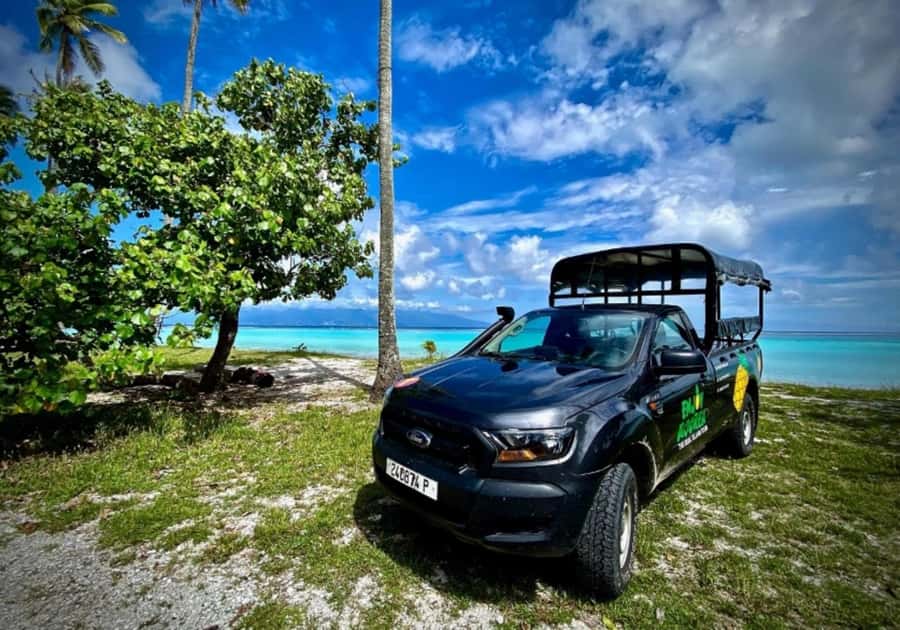 Moorea: Island Tour with Waterfall Hike and Lunch - The Belvedere pairs high views with a fresh coconut