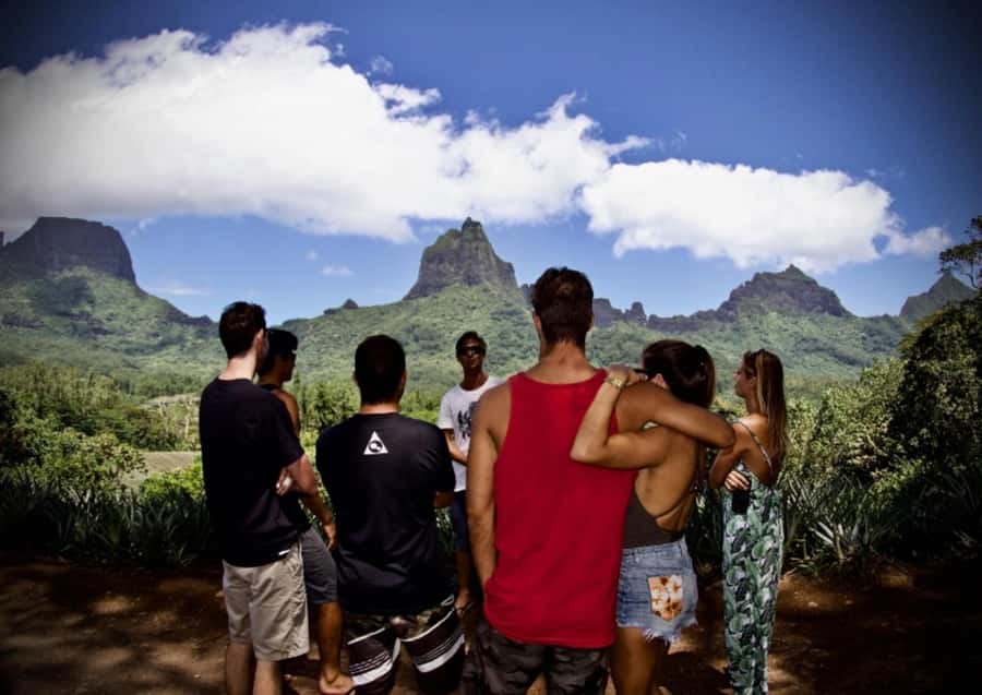 Moorea: Island Tour with Waterfall Hike and Lunch - Tropical Garden puts vanilla and local plants in focus