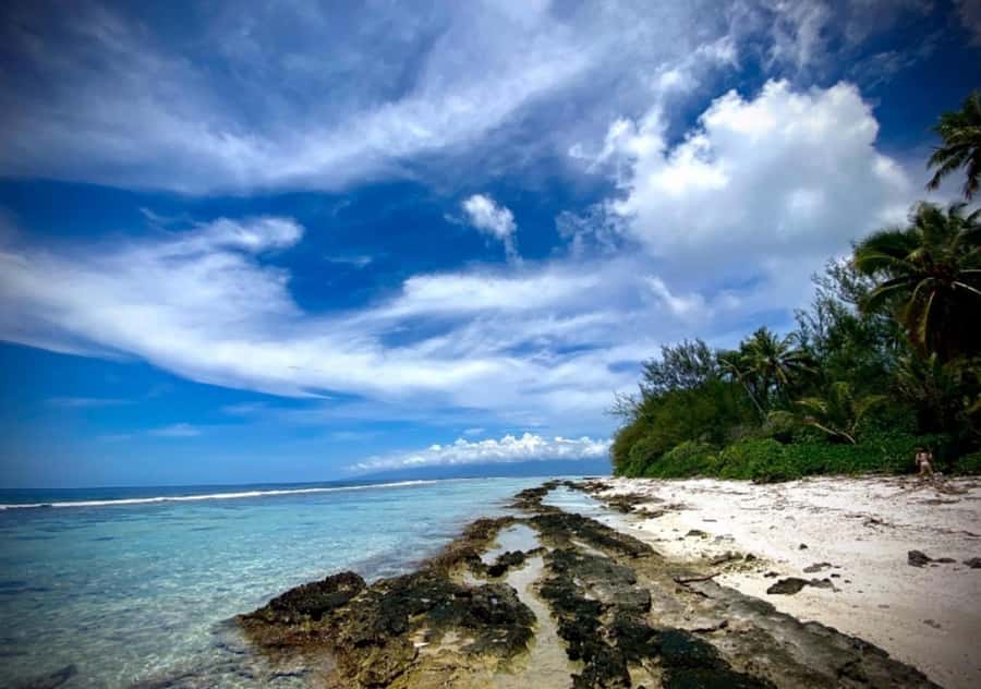 Moorea: Island Tour with Waterfall Hike and Lunch - What to bring and what to know before booking