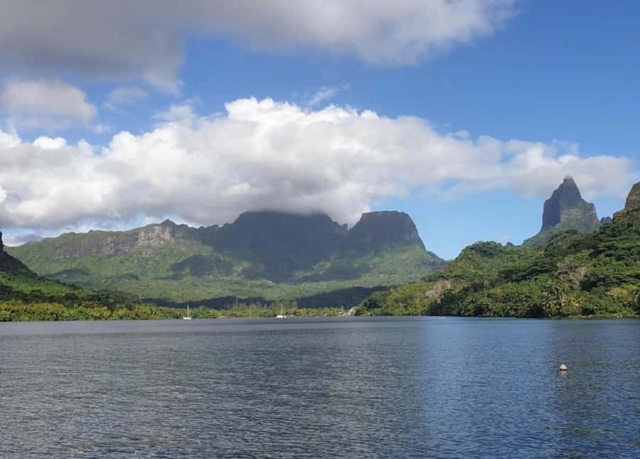 Moorea: Lagoon and Reef Snorkeling Tour with Drinks - Who will enjoy this Moorea boat trip most?