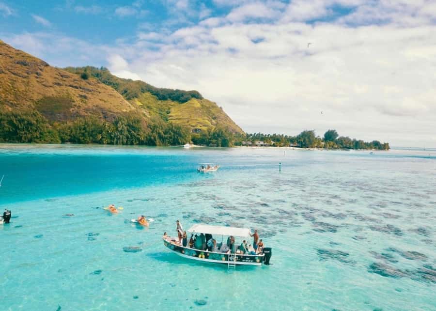 Moorea: Lagoon and Reef Snorkeling Tour with Drinks - Sharks outside the barrier reef