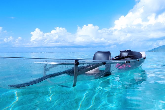 Moorea Lagoon Tour by Transparent Kayak - What the guides add to the outing