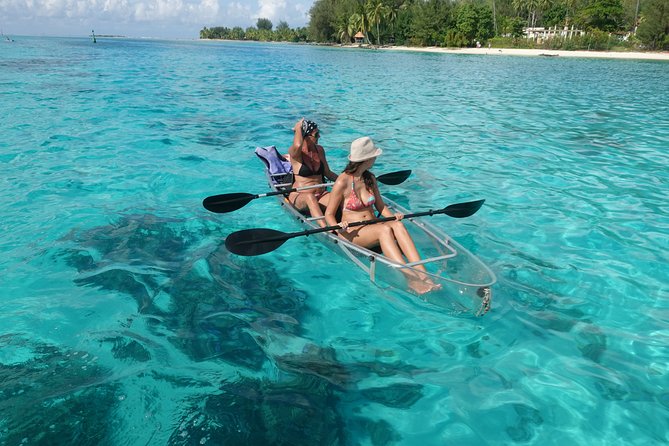 Moorea Lagoon Tour by Transparent Kayak - How much work is the kayaking?