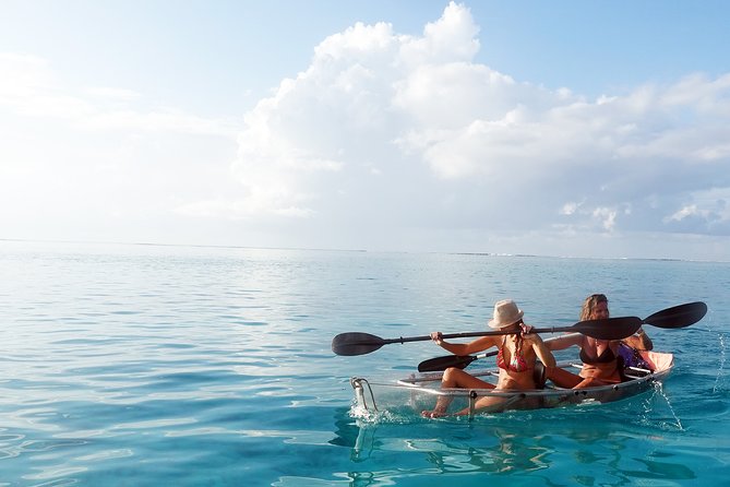 Moorea Lagoon Tour by Transparent Kayak - Snorkeling with sharks and stingrays