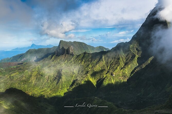 Moorea: Private 4-Hour High-End Boat Excursion - Green turtles and passing eagle rays