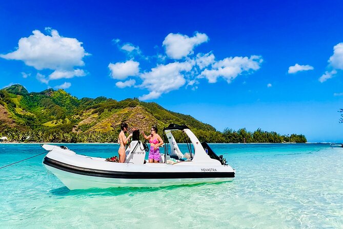 Moorea: Private 4-Hour High-End Boat Excursion - The ray and black-tip shark sandbank