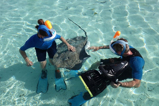 Moorea Private Boat Tour / Sea Scooter Snorkeling Tour - Hotel Transfers and the Conflicting Times
