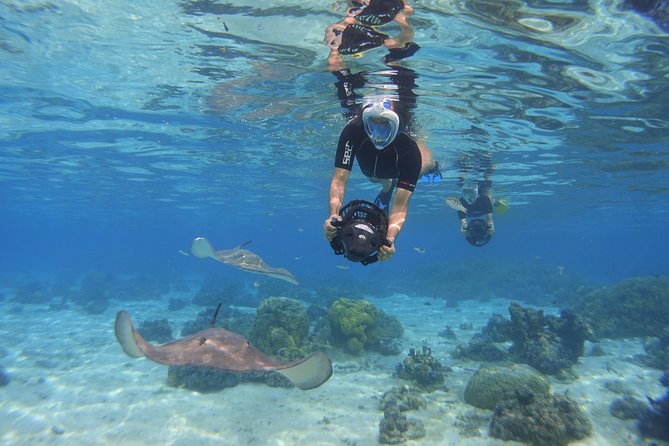 Moorea Private Boat Tour / Sea Scooter Snorkeling Tour - My Take on the Value and Experience