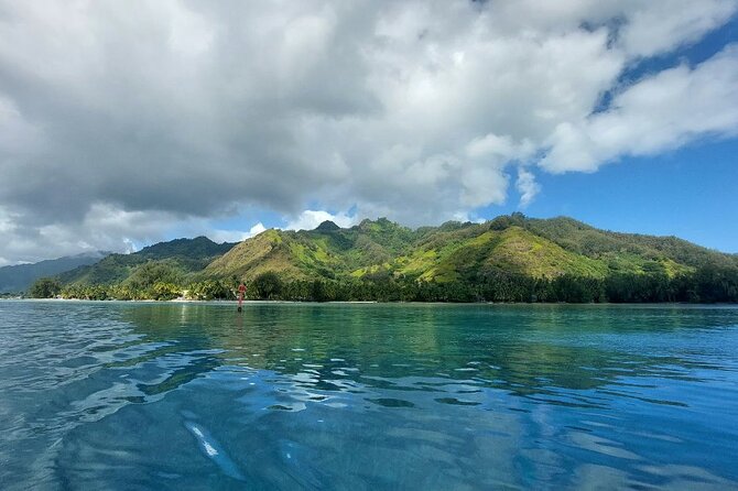 Moorea Private Full Day Tour - Ta’ahiamanu Beach brings in sand and palms
