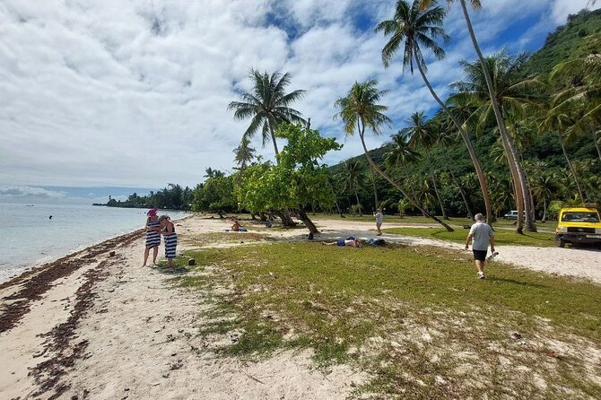 Moorea Private Full Day Tour - Opunohu Bay and valley views