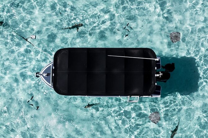 Moorea: Private Snorkeling Tour with Certify Guide - What the price means for your group
