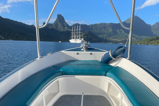 Moorea: Private Snorkeling Tour with Certify Guide - Opunohu Bay changes the pace