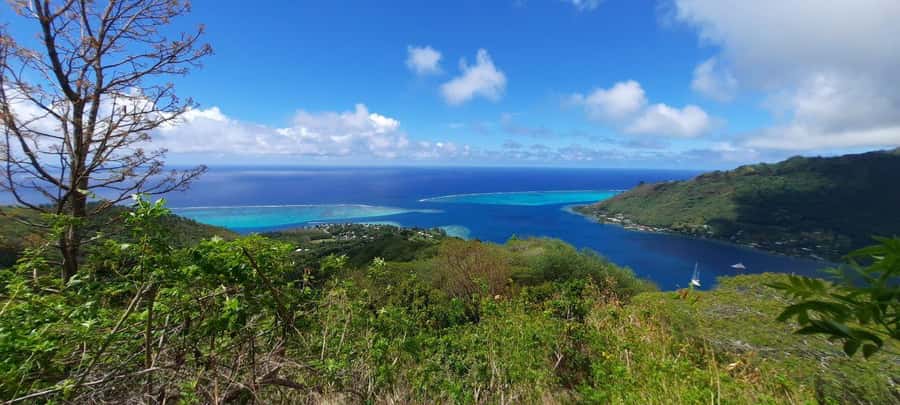 Moorea : Safari Nature and Culture Tour with local guide - Key points to know before booking