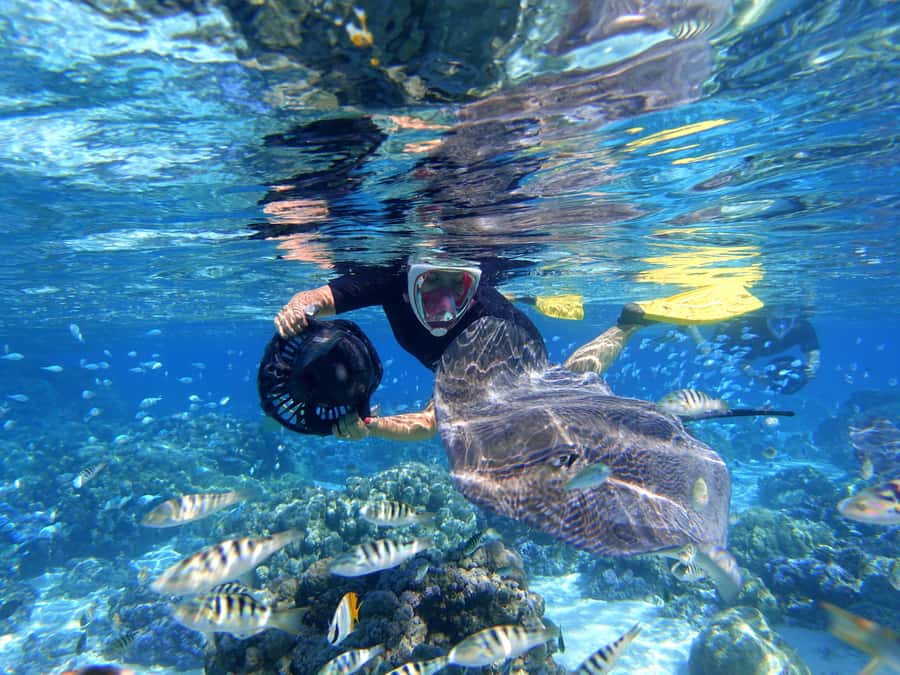 Moorea: Sea Scooter Snorkeling Tour - Coral gardens and the value of several stops