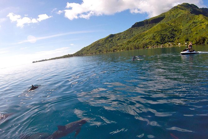 Moorea Solo or Twin 3 hours Jet Ski Tour - The Stingray and Shark Stop at Motu Tiahura