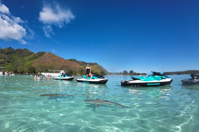 Moorea Solo or Twin Island Tour Jet Ski 4 hours - The Moorea Dolphin Center area and wildlife search