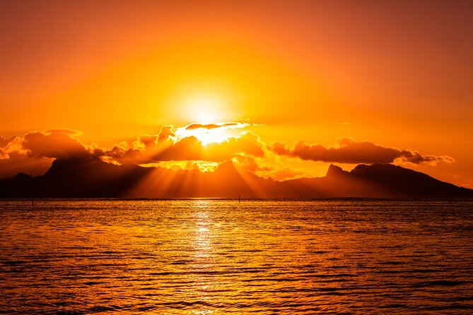 Moorea Sunset Boat Trip - The swim with turtles, rays, and sharks